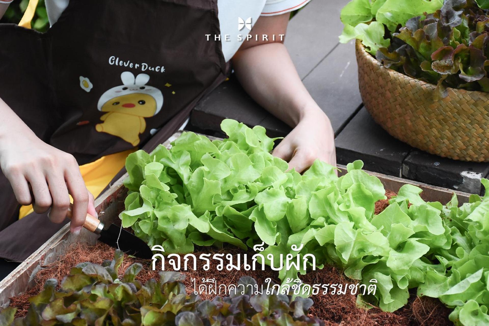 The Spirit Resort Hua Hin Khao Tao Eksteriør bilde